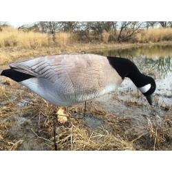 Canada gans Winddrifter 6 stuks