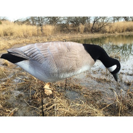 Canada gans Winddrifter 6 stuks