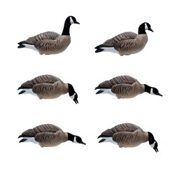 Final Approach HD Last Pass Canadese gans